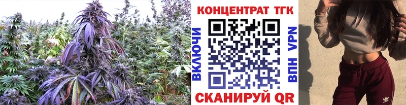 ТГК гашишное масло как найти закладки Пучеж